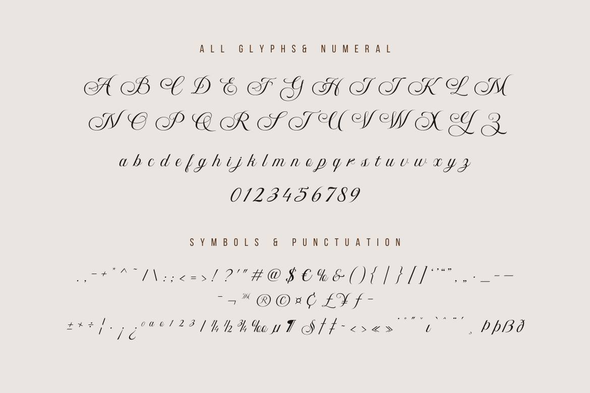 Bidena | Script Font