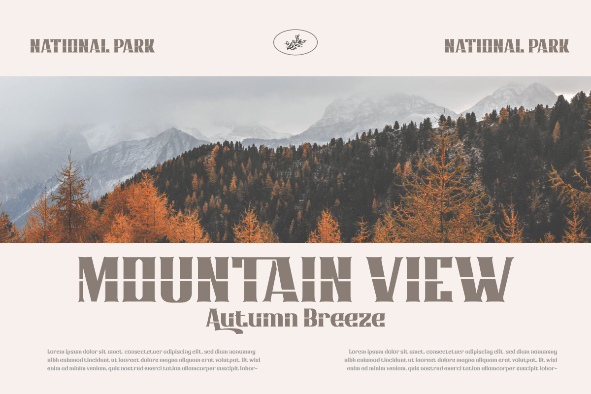 Qonihy | Serif Classic Modernism Qonihy | Serif Classic Modernism