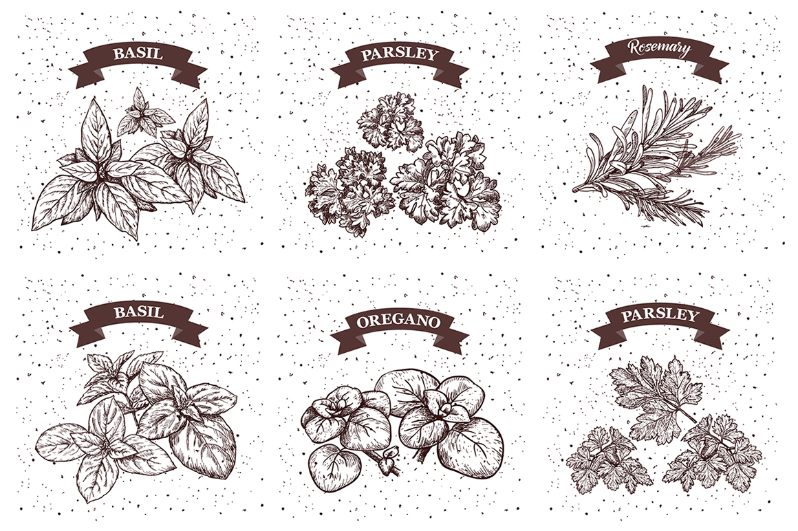 Set of vector Herbs, Spices, Smoothies and Fruits. Set of vector Herbs, Spices, Smoothies and Fruits.