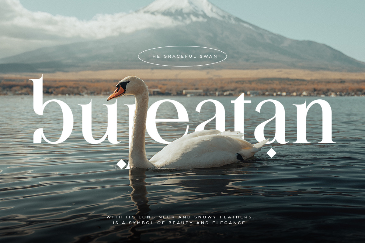 Alhadara | Modern Serif Font Alhadara | Modern Serif Font