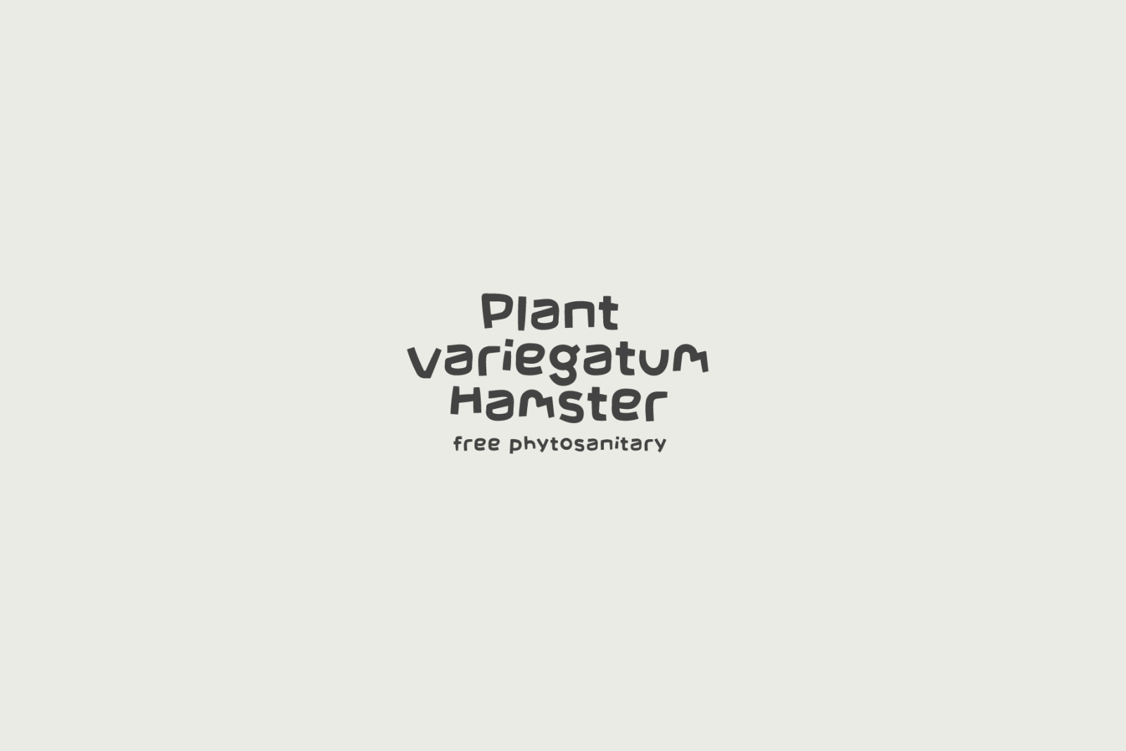 Eva Poshy Font Eva Poshy Font