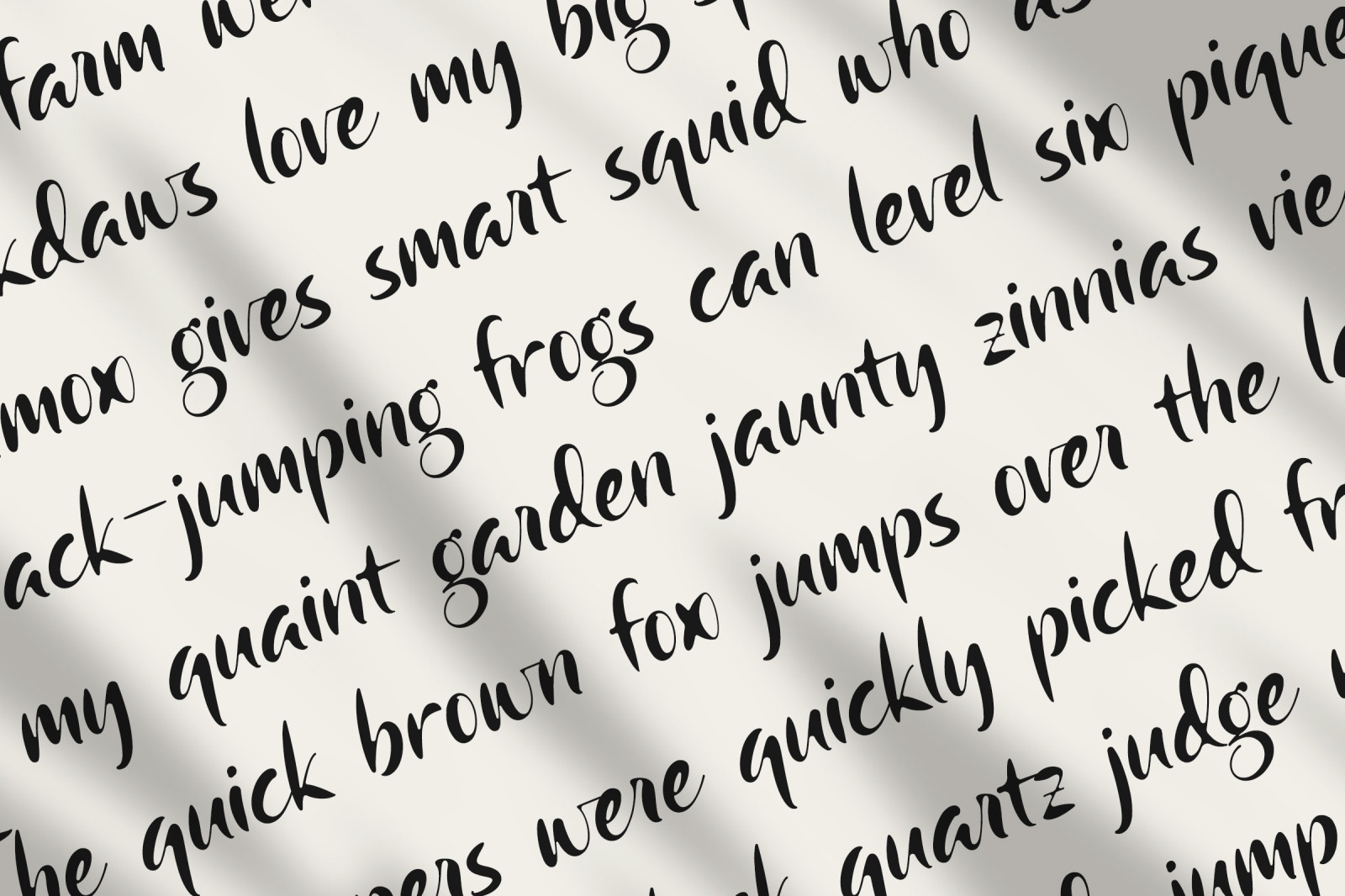 Camerota Font Camerota Font