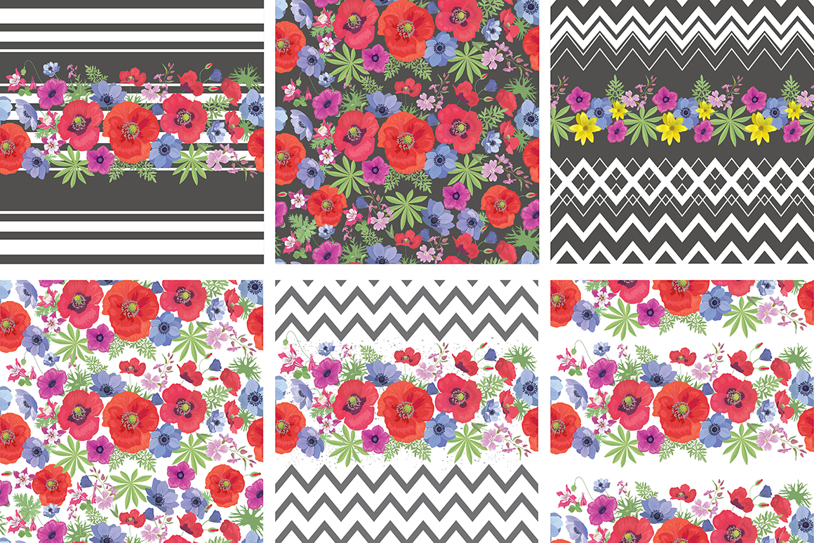 Set of flower, floral elements, frames, seamless patterns.