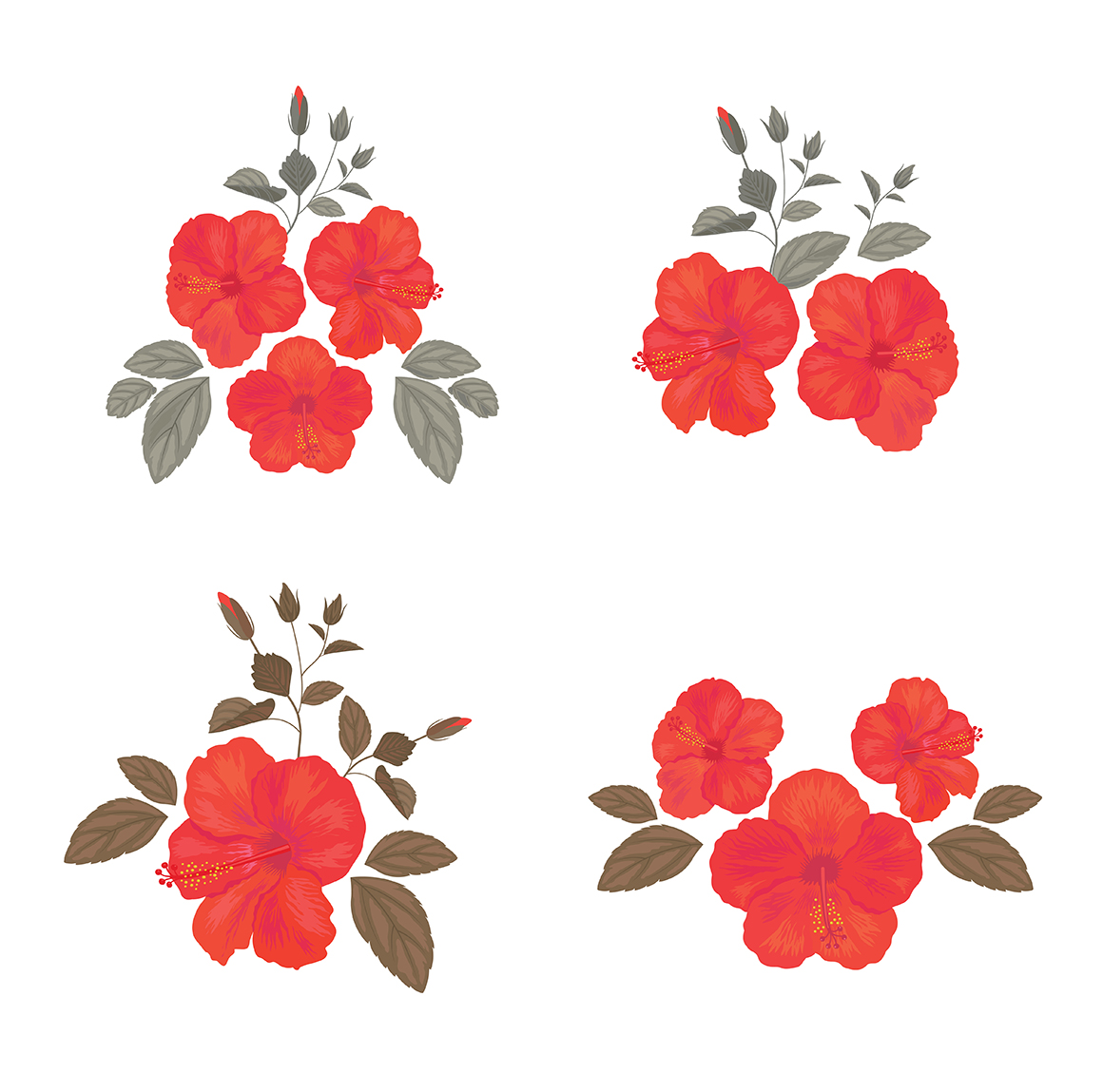 Set of flower, floral elements, frames, seamless patterns.