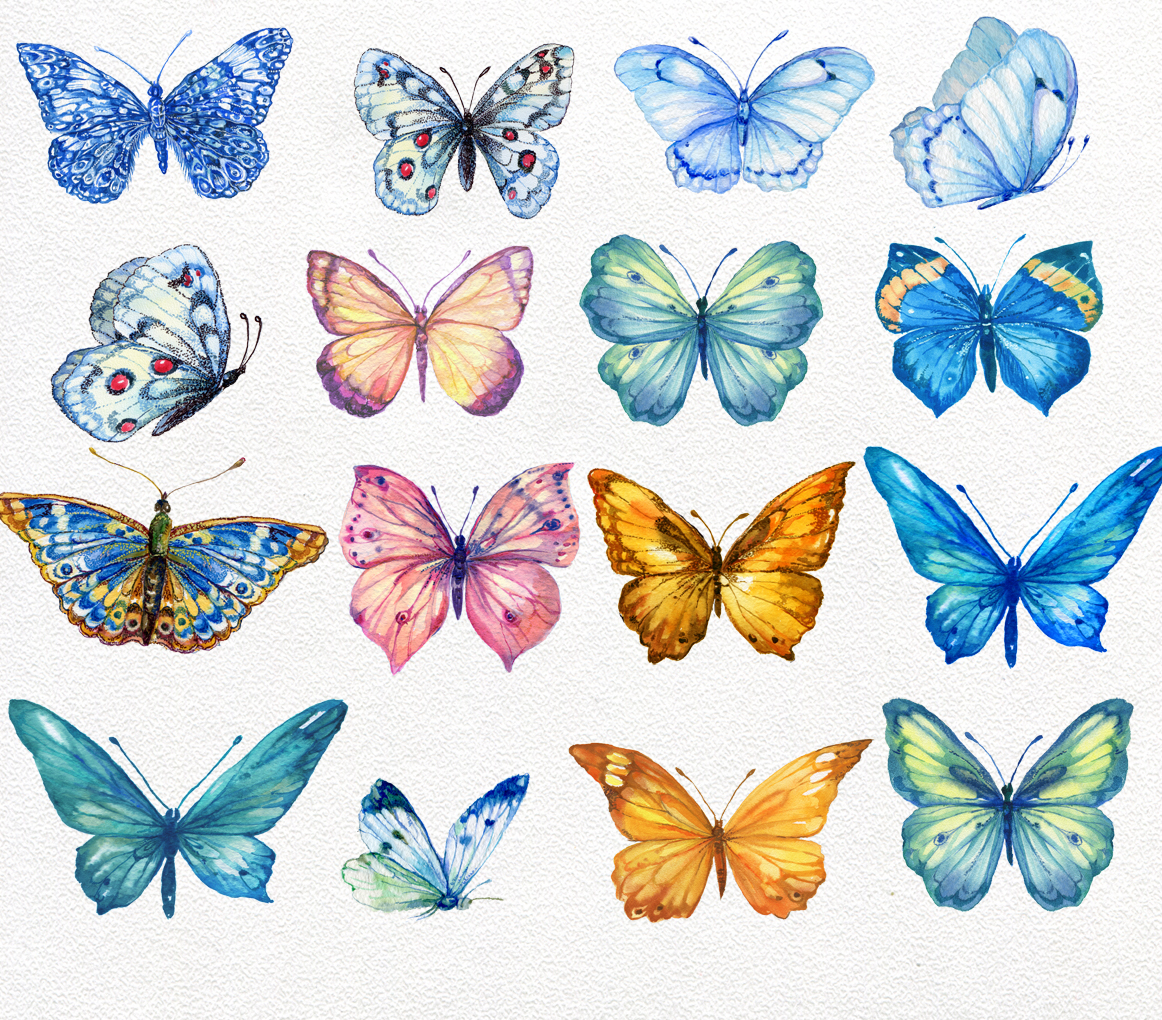 Butterfly collection watercolor