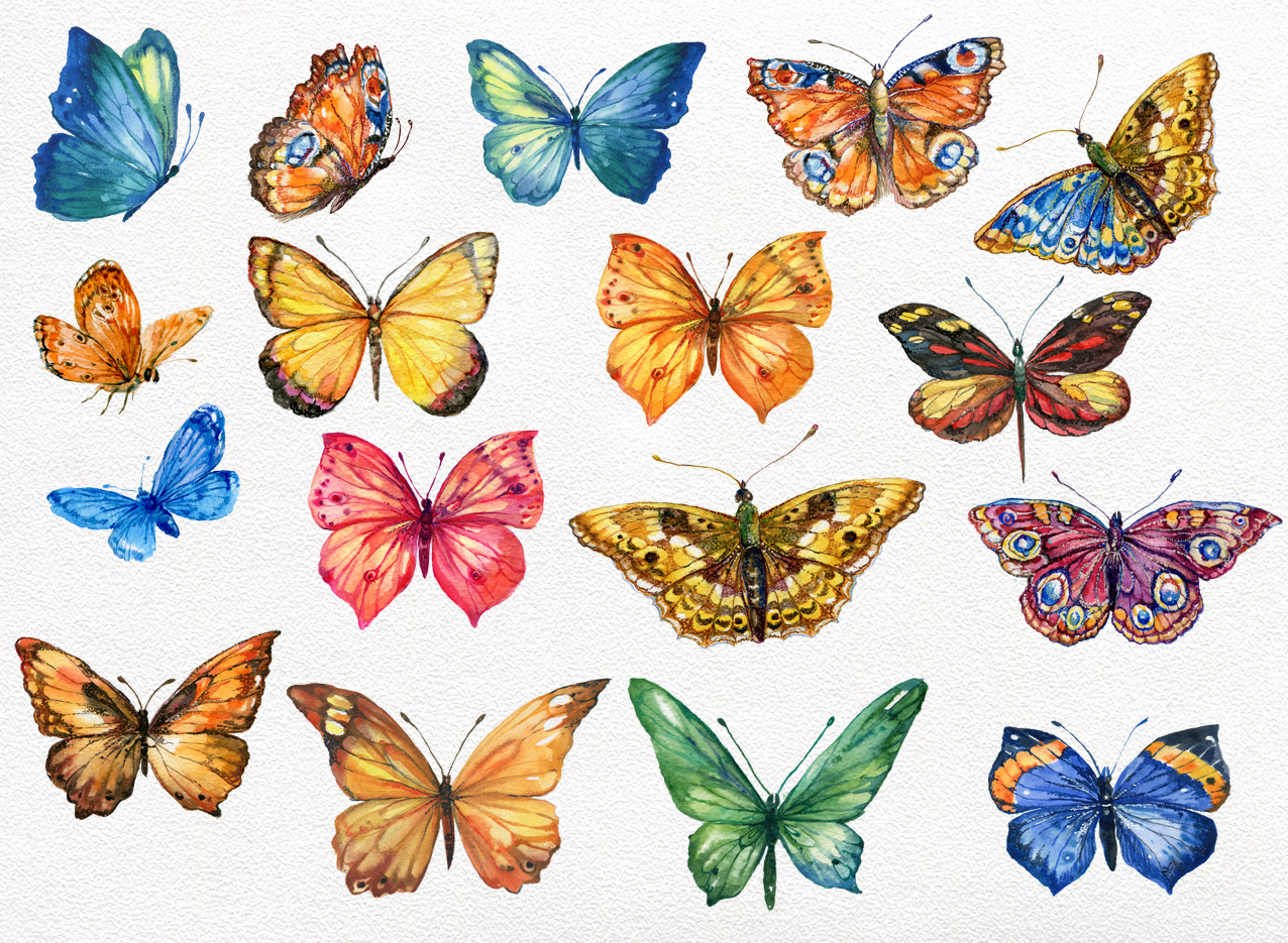 Butterfly collection watercolor