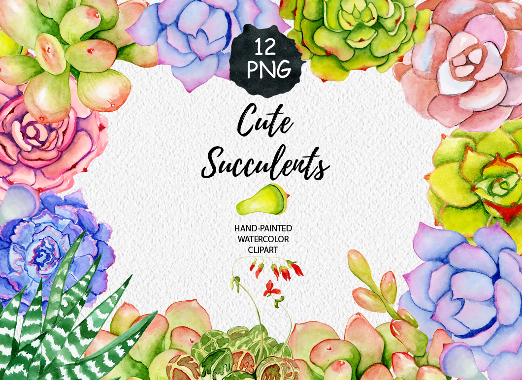 Succulents watercolor clipart