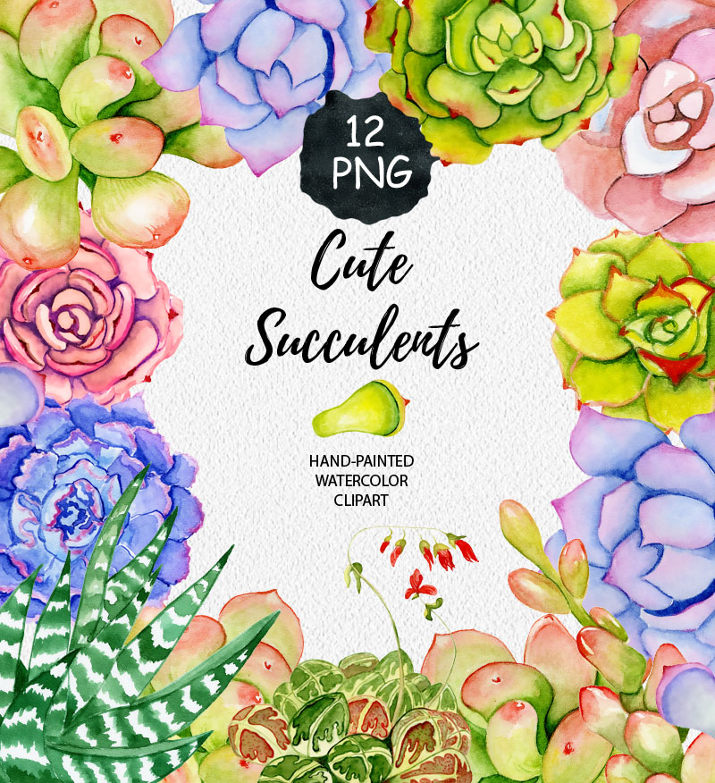 Succulents watercolor clipart