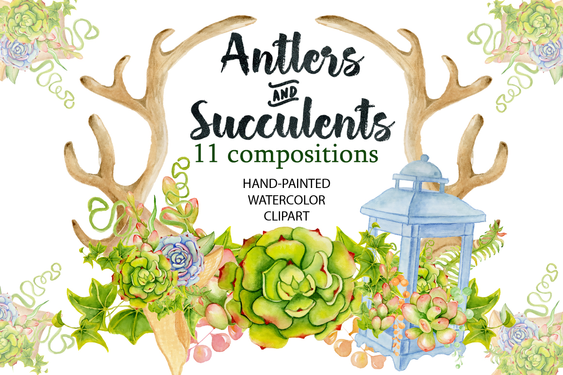 Antlers and succulents