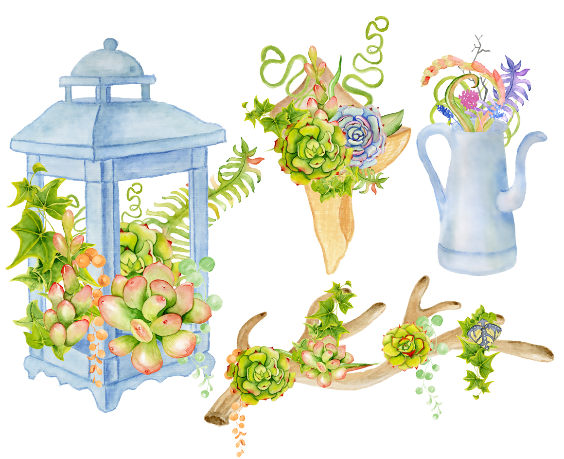 Antlers and succulents Antlers and succulents
