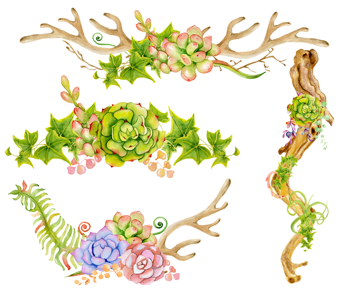 Antlers and succulents