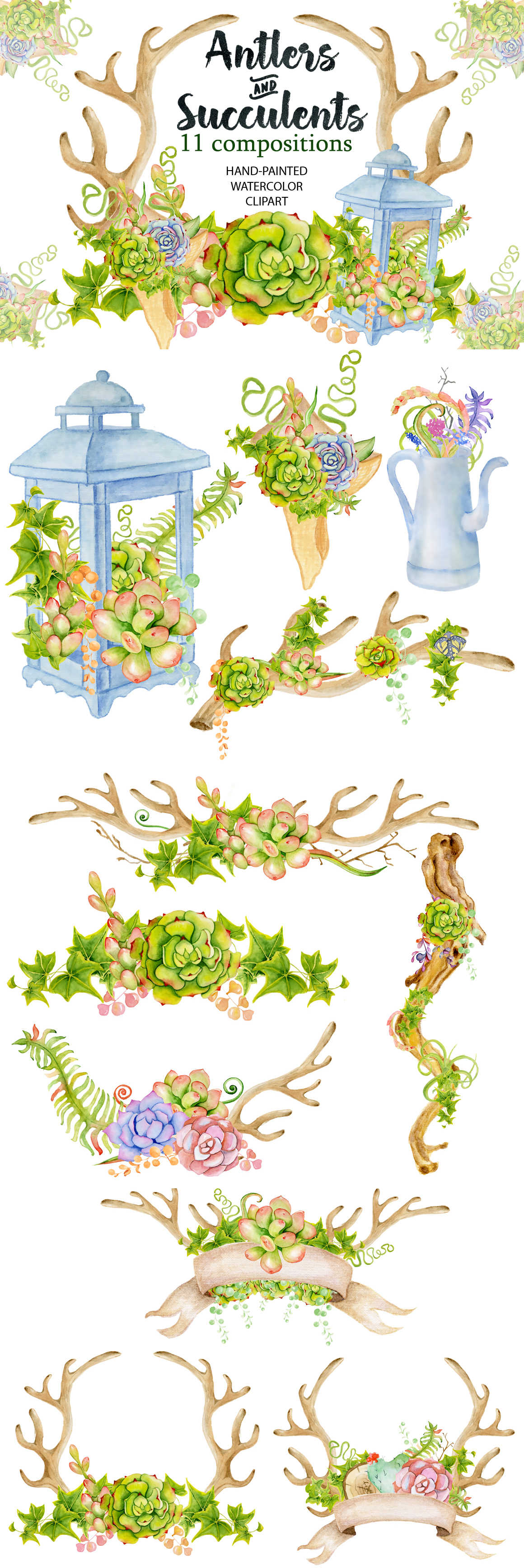 Antlers and succulents Antlers and succulents