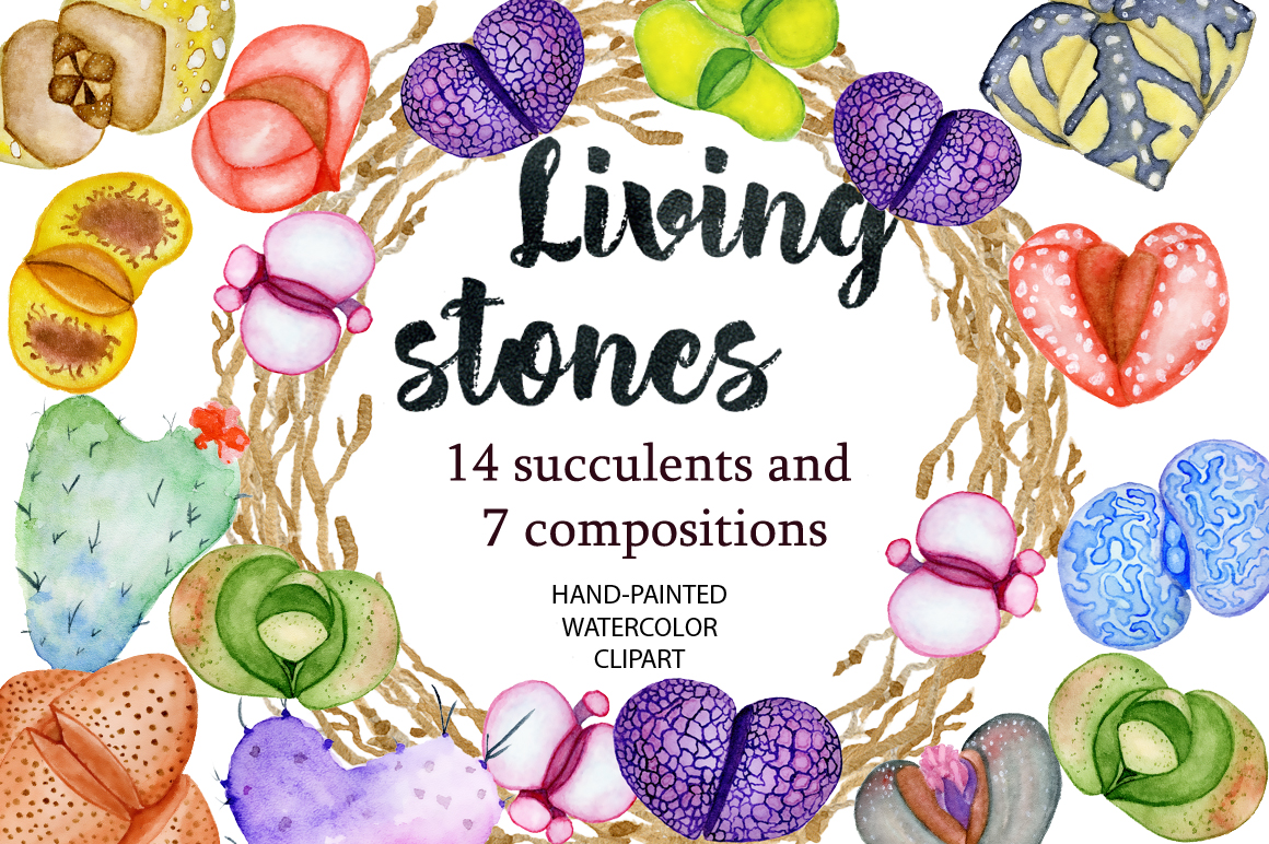 Watercolor Living Stones Watercolor Living Stones