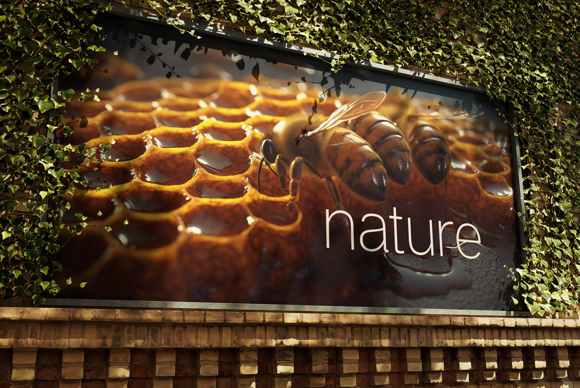 Honey Backgrounds Honey Backgrounds