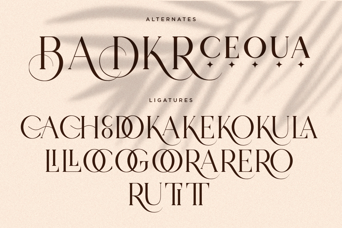 Koela | Modern Serif Font Koela | Modern Serif Font