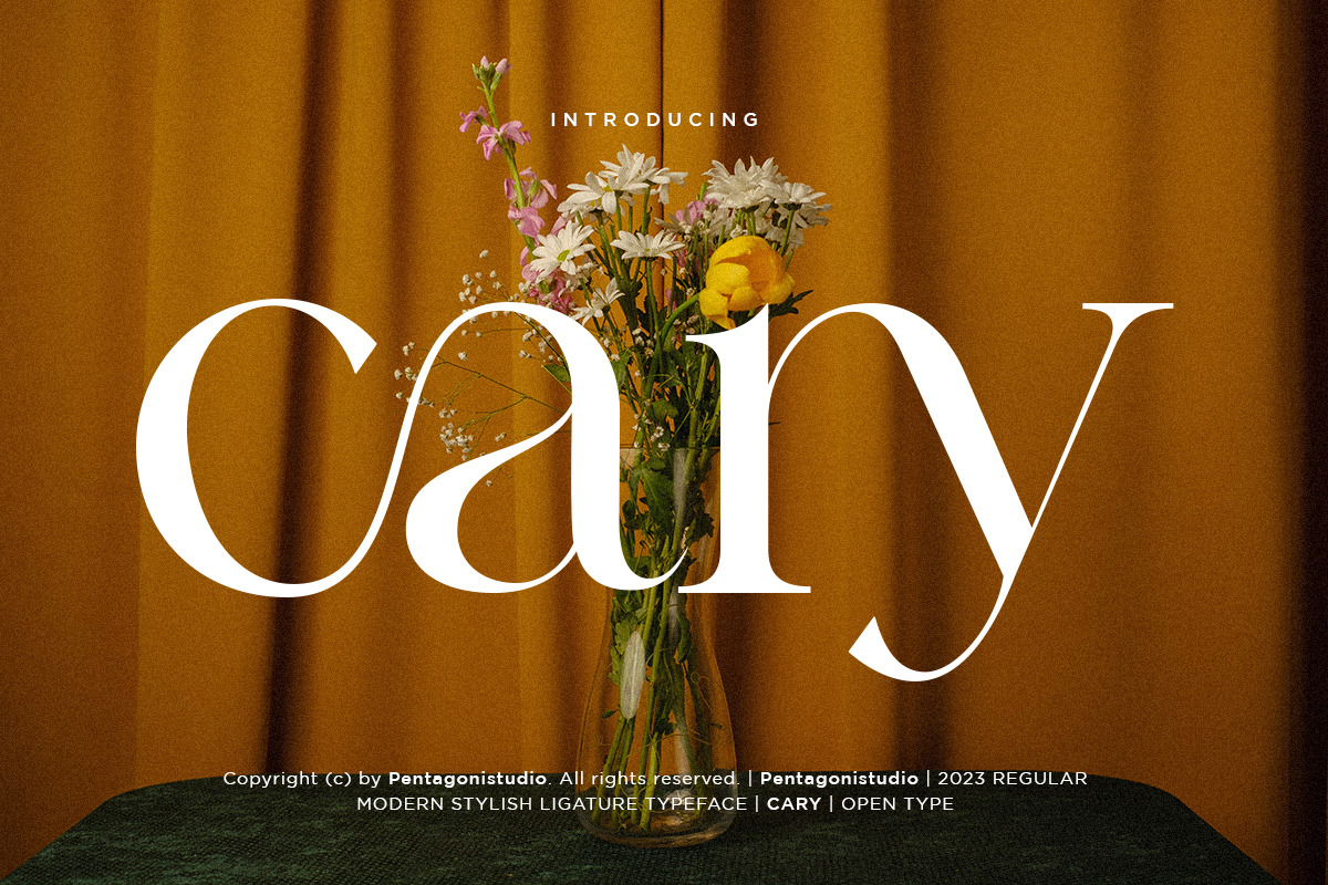 Cary | Classy Serif Font