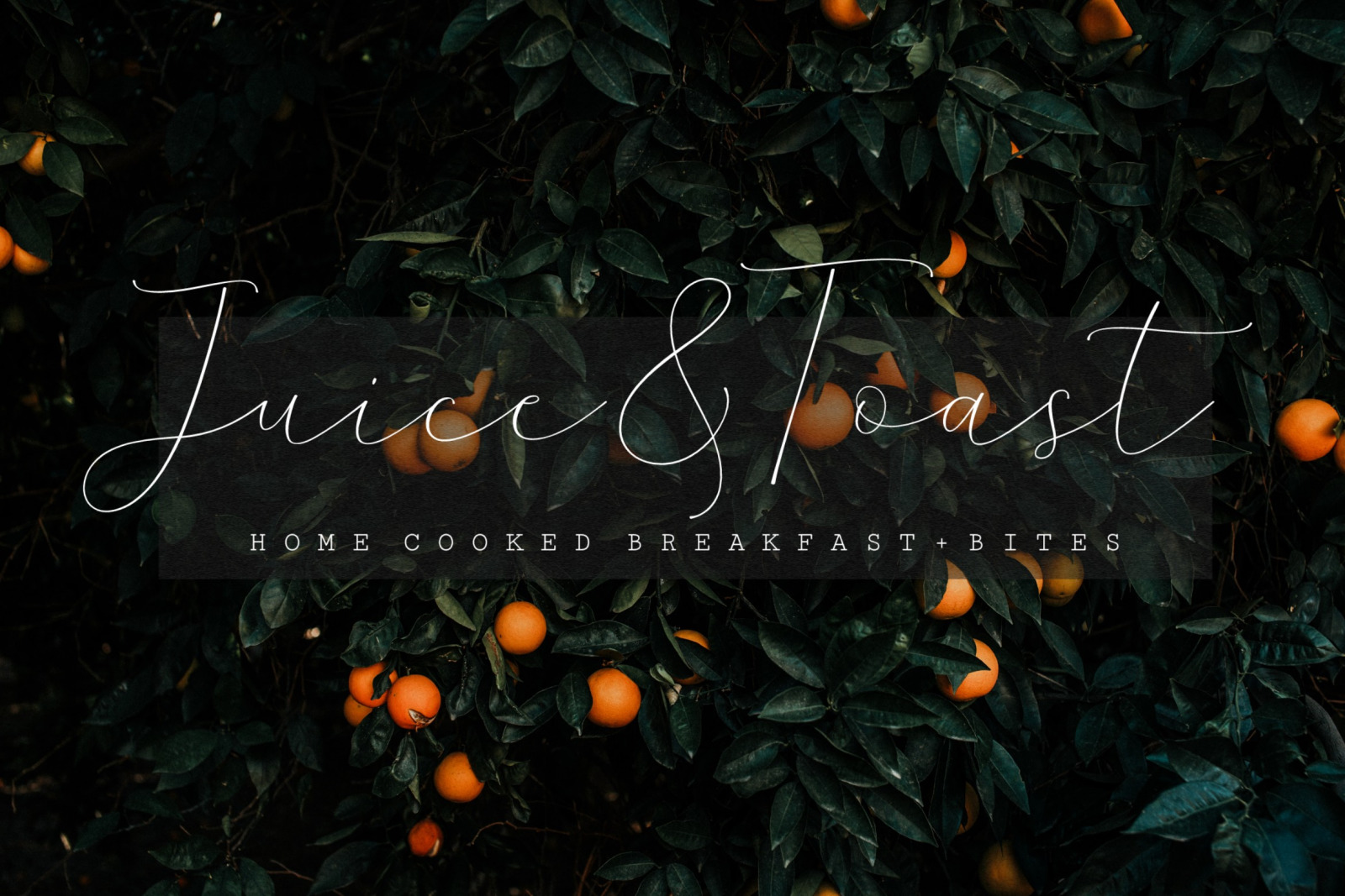 Overflows - A Stunning Script Font