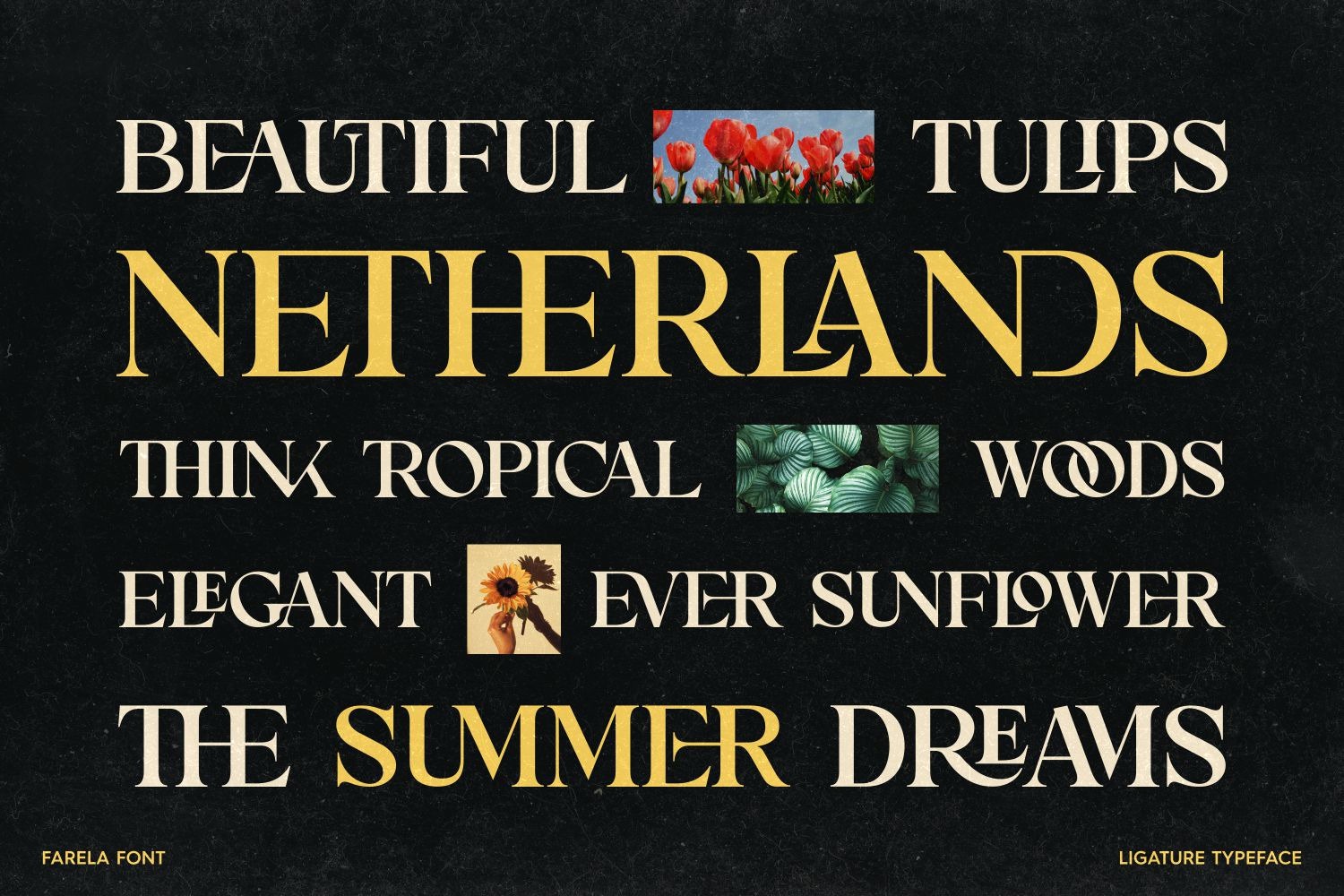 Farela - Ligature Serif Typeface Farela - Ligature Serif Typeface