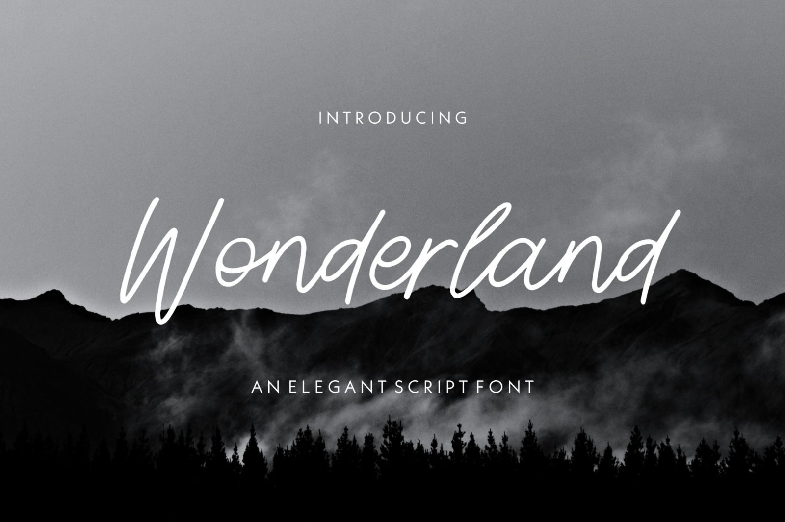 Wonderland - An Elegant Script Font Wonderland - An Elegant Script Font