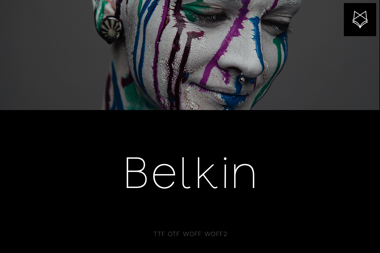 Belkin Display Typeface