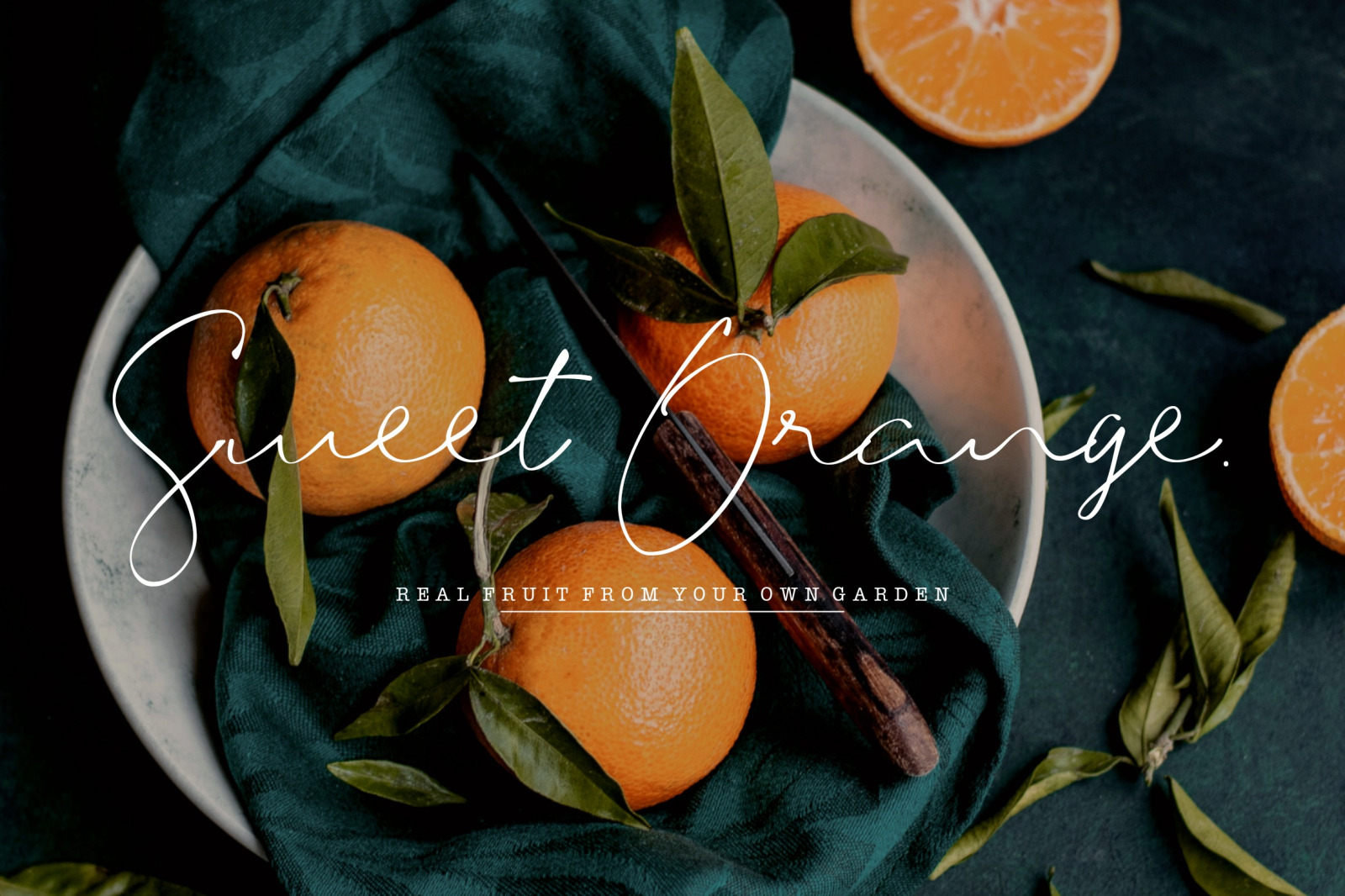 The Brave - Modern Signature Beautiful Font The Brave - Modern Signature Beautiful Font
