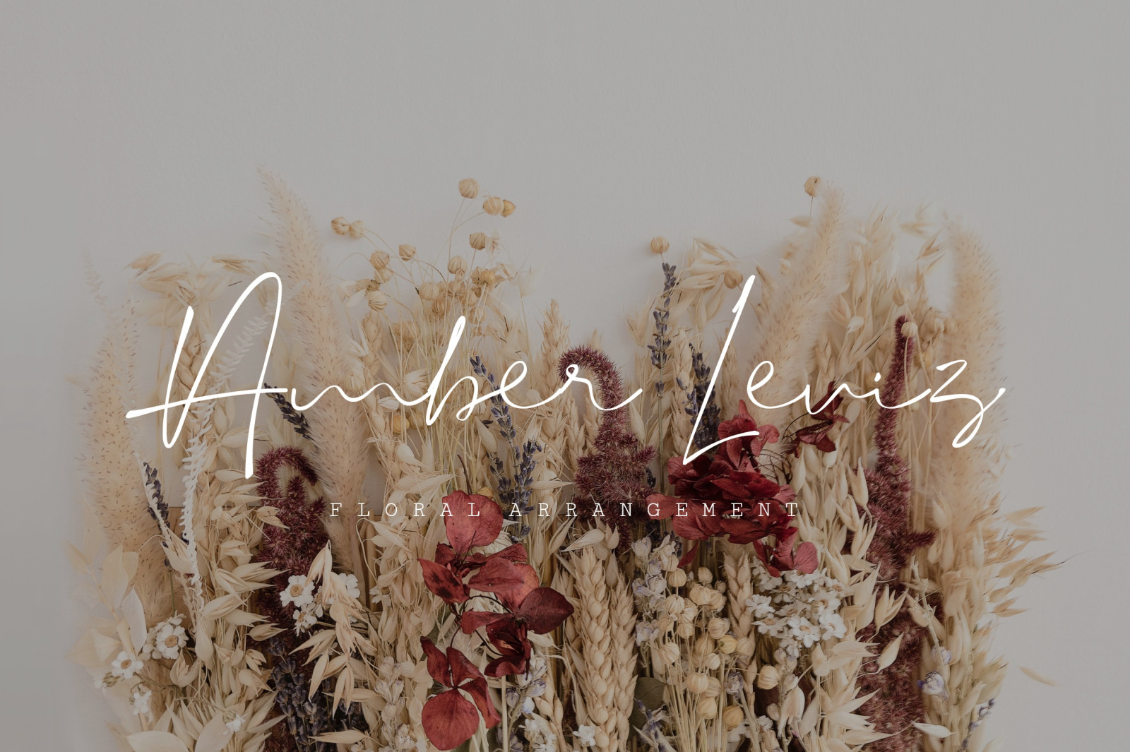 The Brave - Modern Signature Beautiful Font The Brave - Modern Signature Beautiful Font