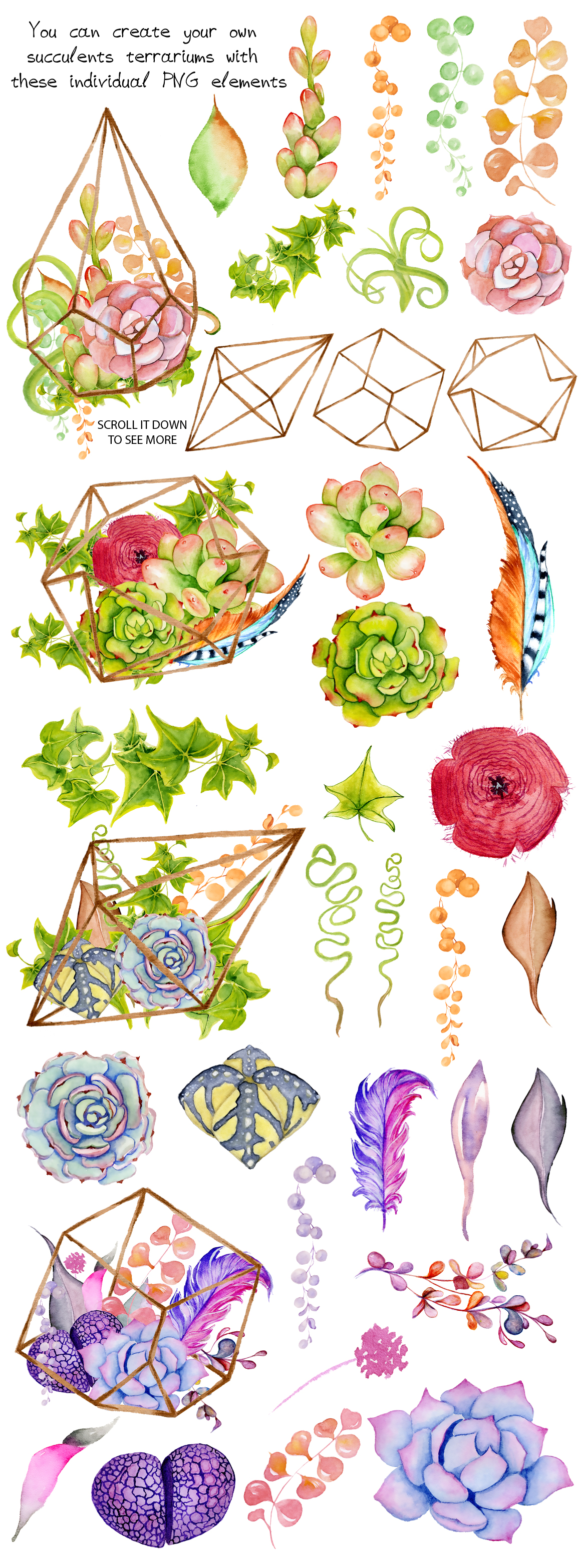 Succulents terrarium creator Vol.1 Succulents terrarium creator Vol.1
