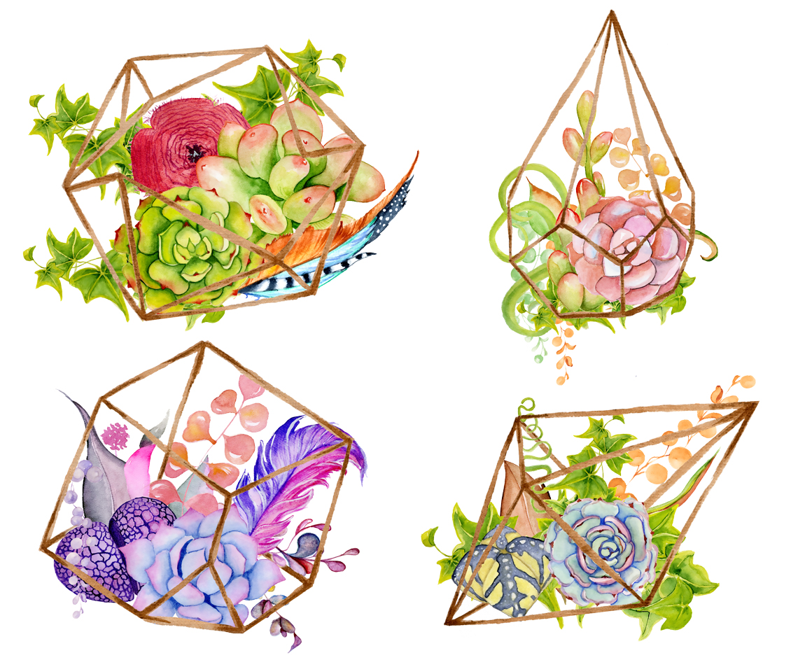 Succulents terrarium creator Vol.1 Succulents terrarium creator Vol.1