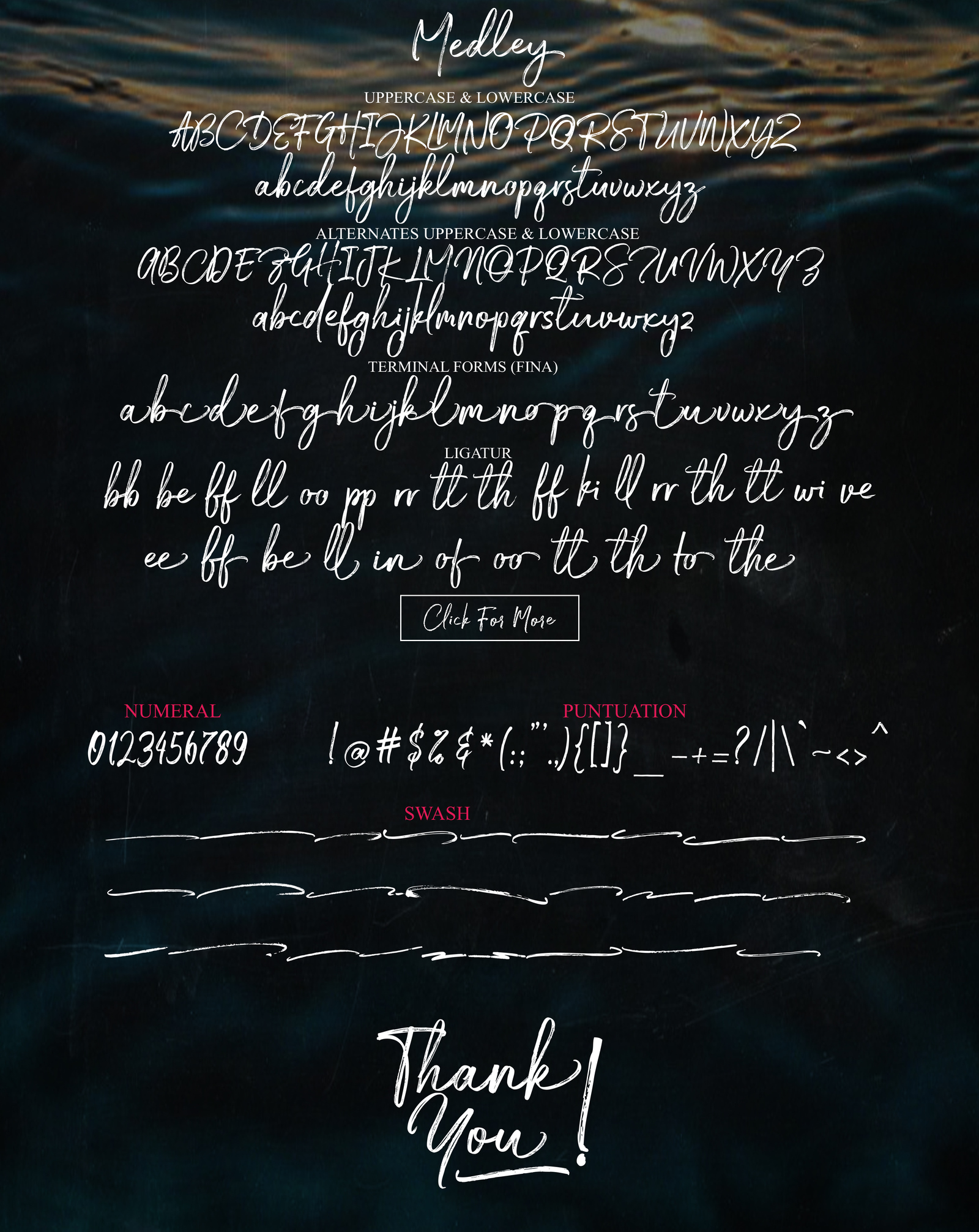 Medley Script Medley Script