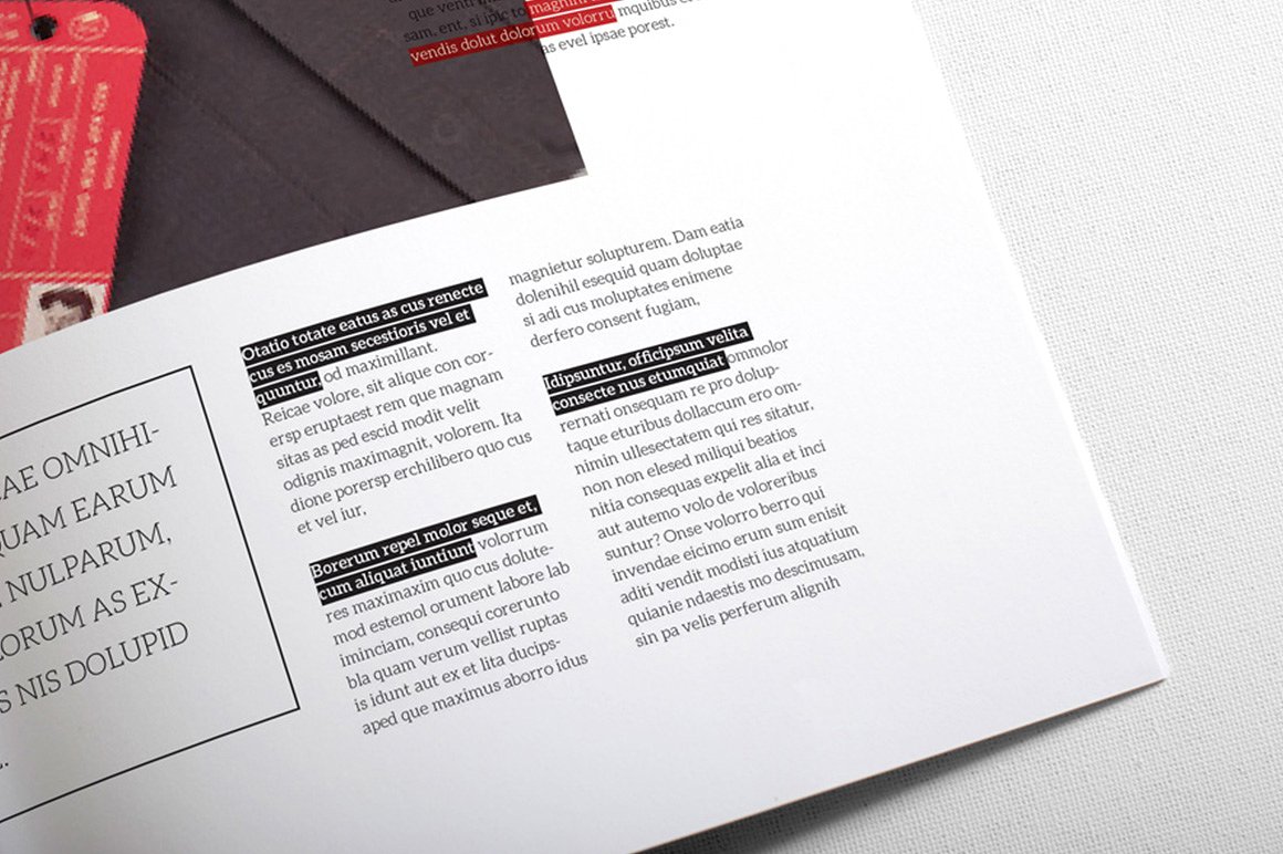 InDesign Magazine Template