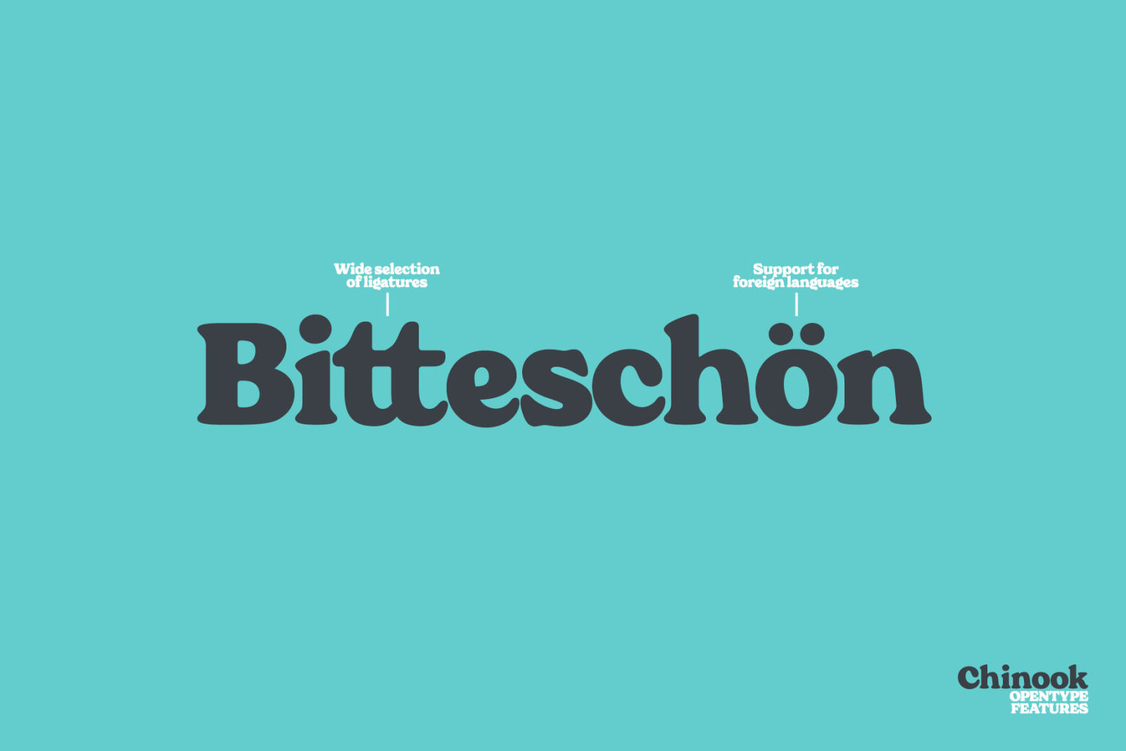 Chinook Font Chinook Font