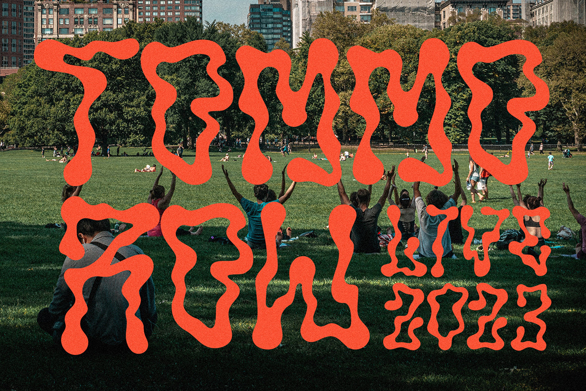 Squide - Experimental Display Font Squide - Experimental Display Font