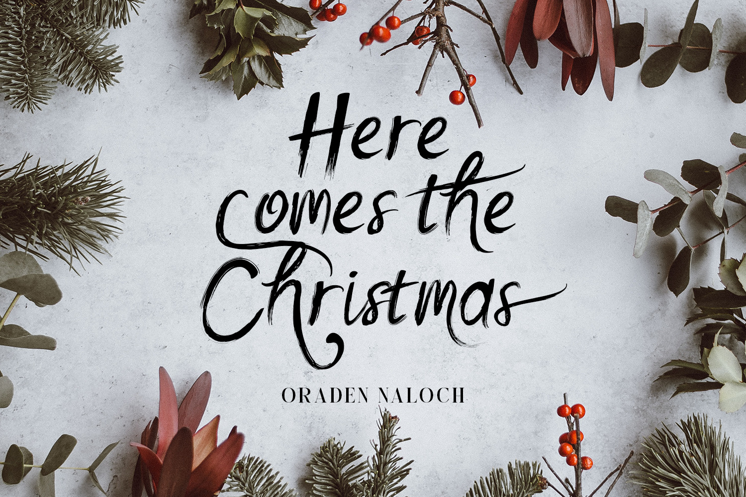 Oraden Naloch - Modern Brush Script Oraden Naloch - Modern Brush Script