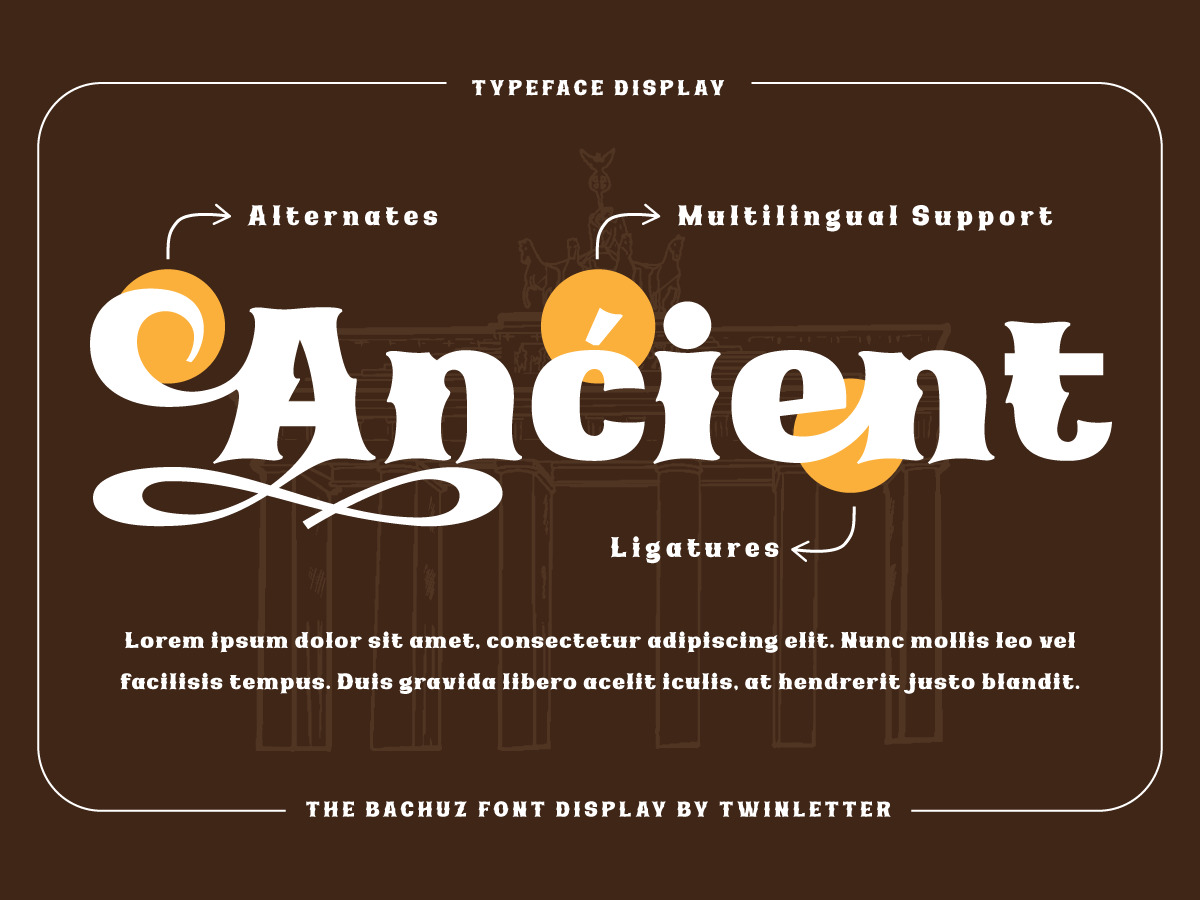 The Bachuz | Serif Classic Modernism