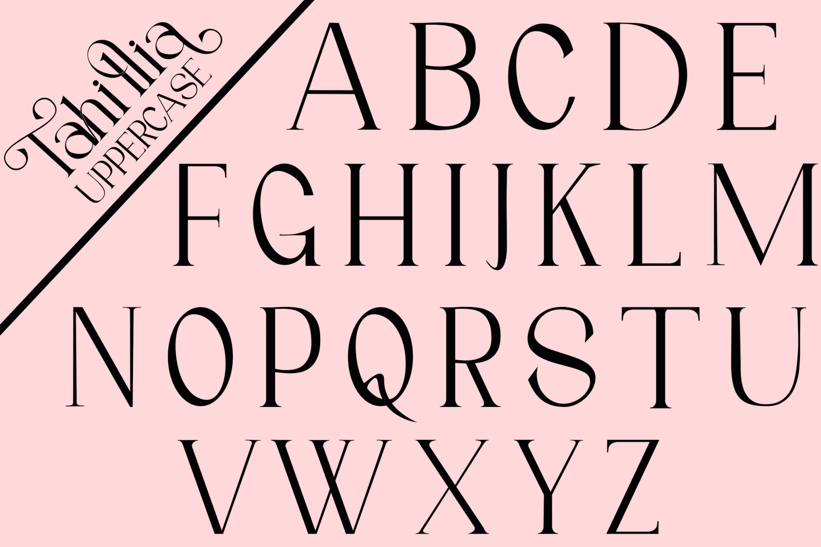 Tahillia Font