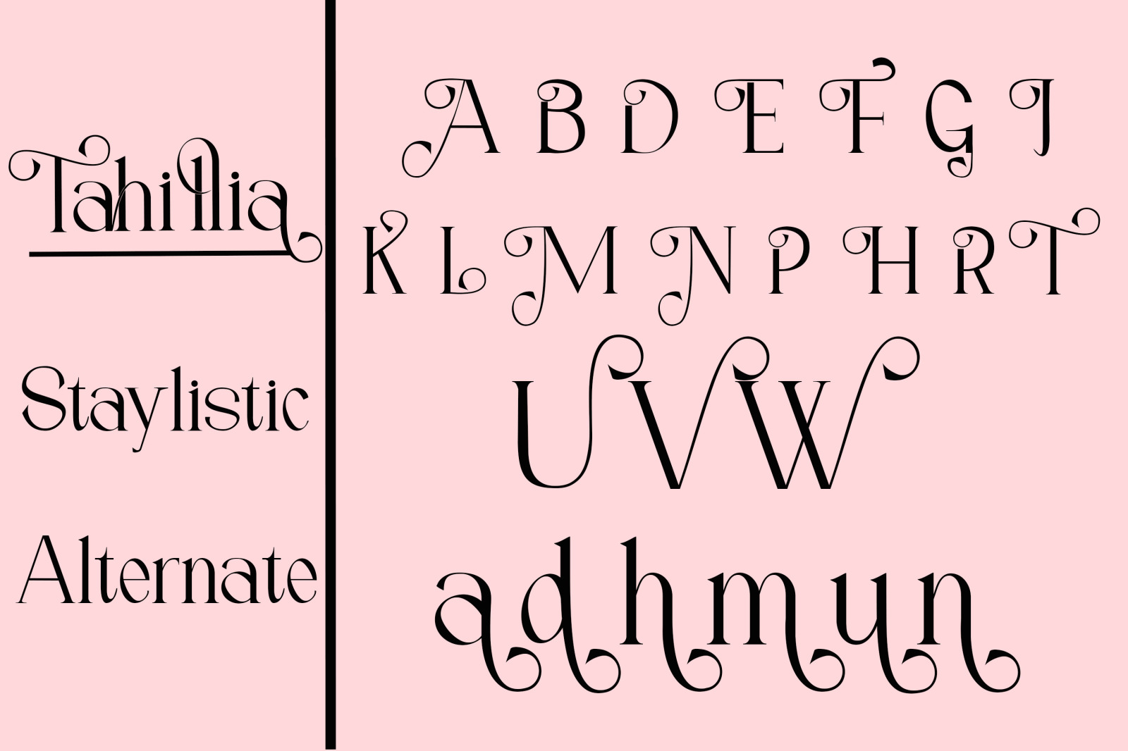 Tahillia Font