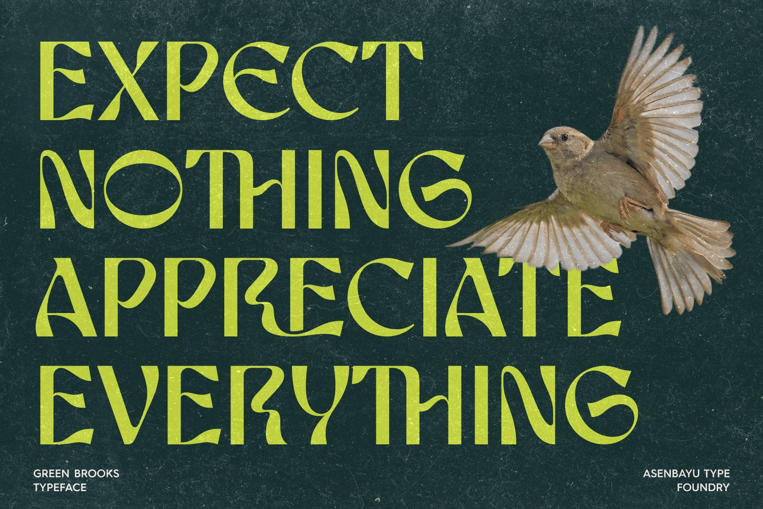 Green Brooks Typeface