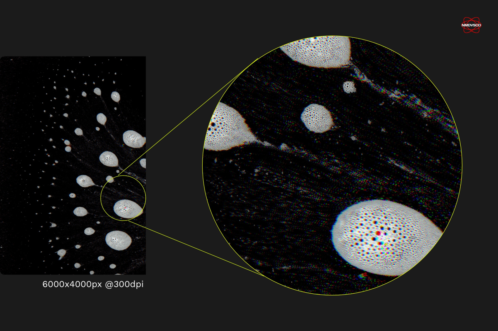 Foamy Scanner - Hi-Res Textures