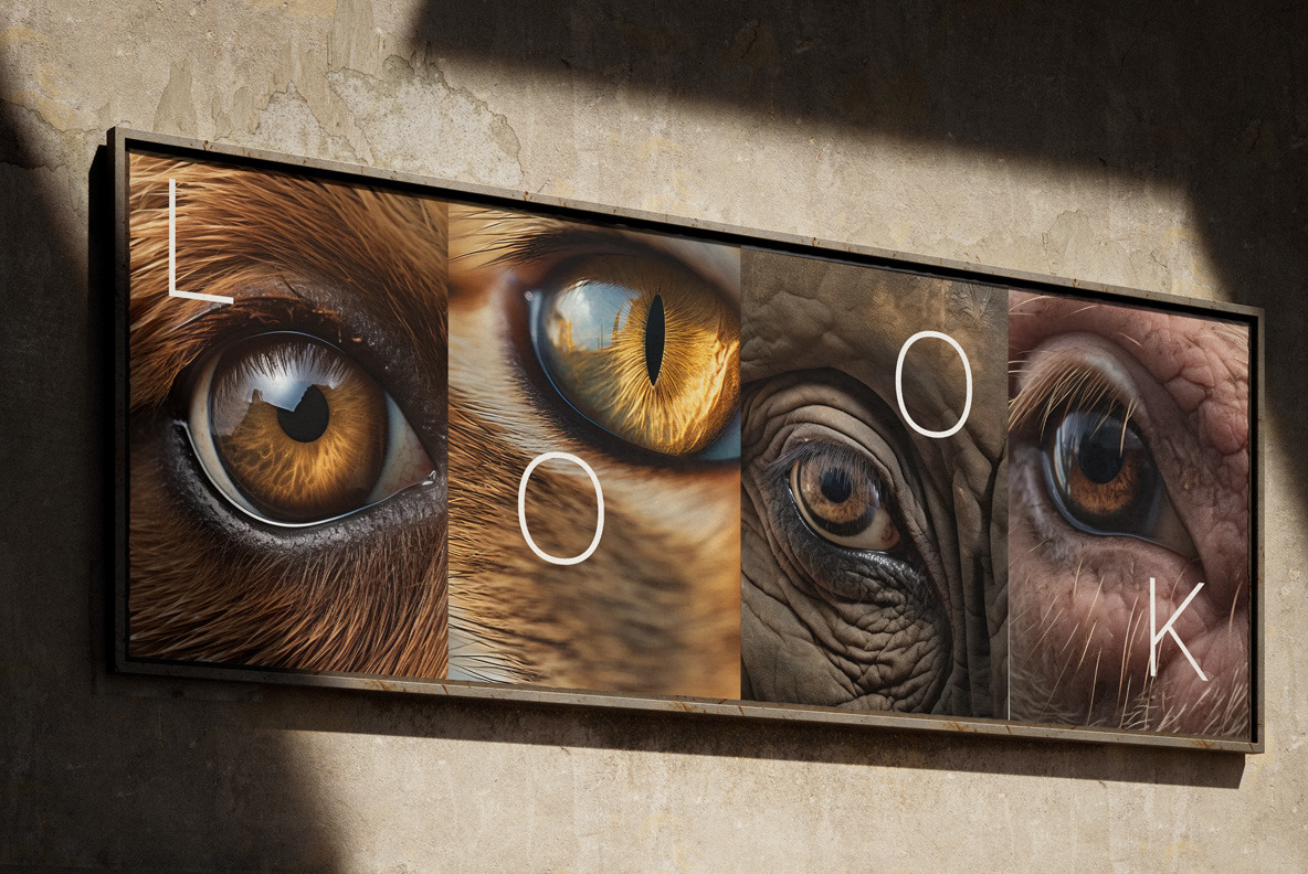 Animal eyes Animal eyes