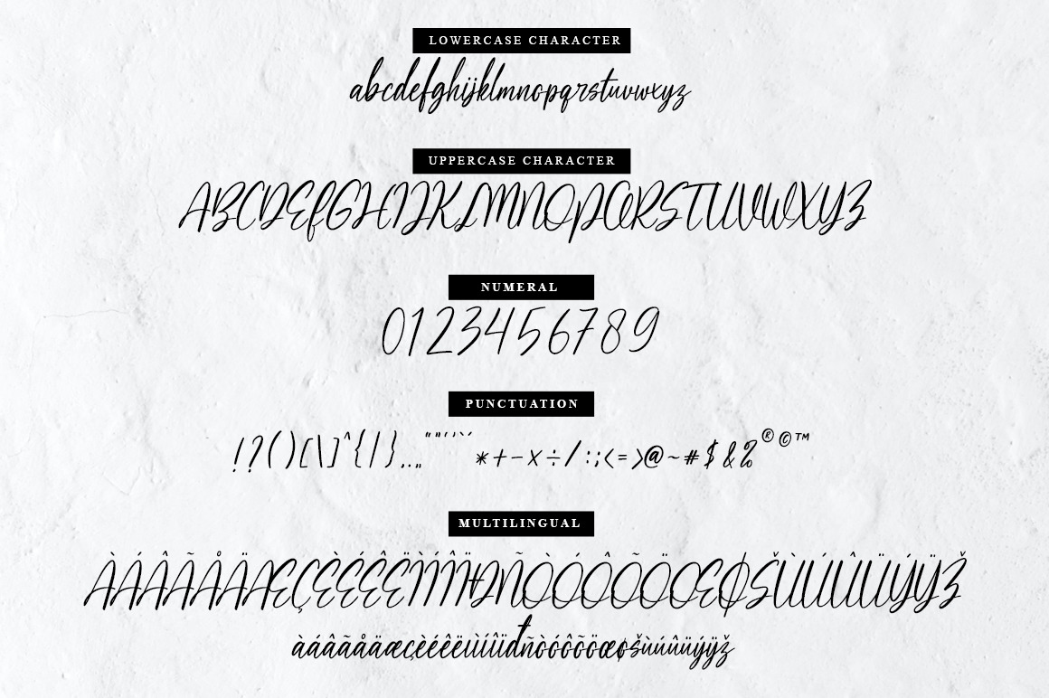 Orlando Andromeda Orlando Andromeda