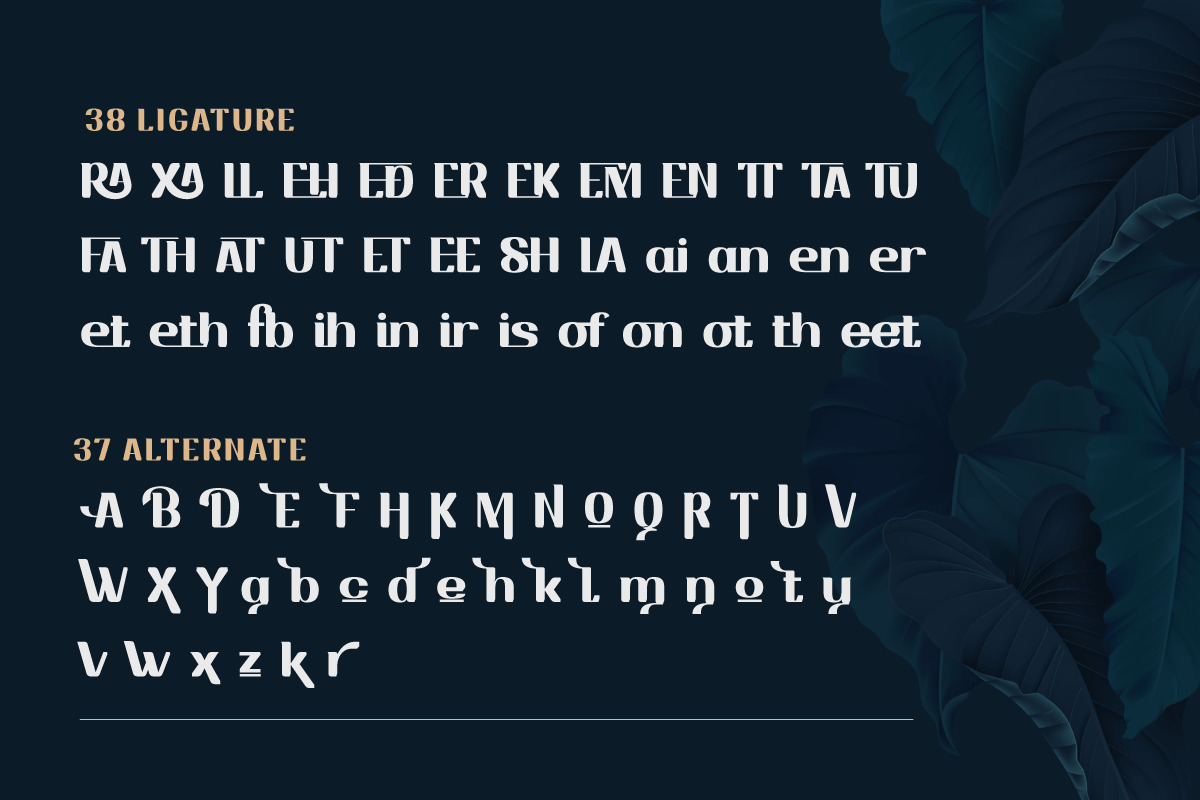 Drafbink | Serif Classic Modernism Drafbink | Serif Classic Modernism