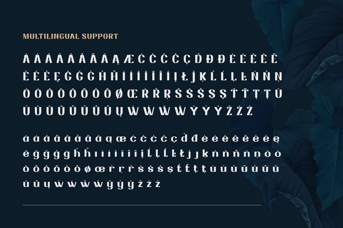 Drafbink | Serif Classic Modernism Drafbink | Serif Classic Modernism