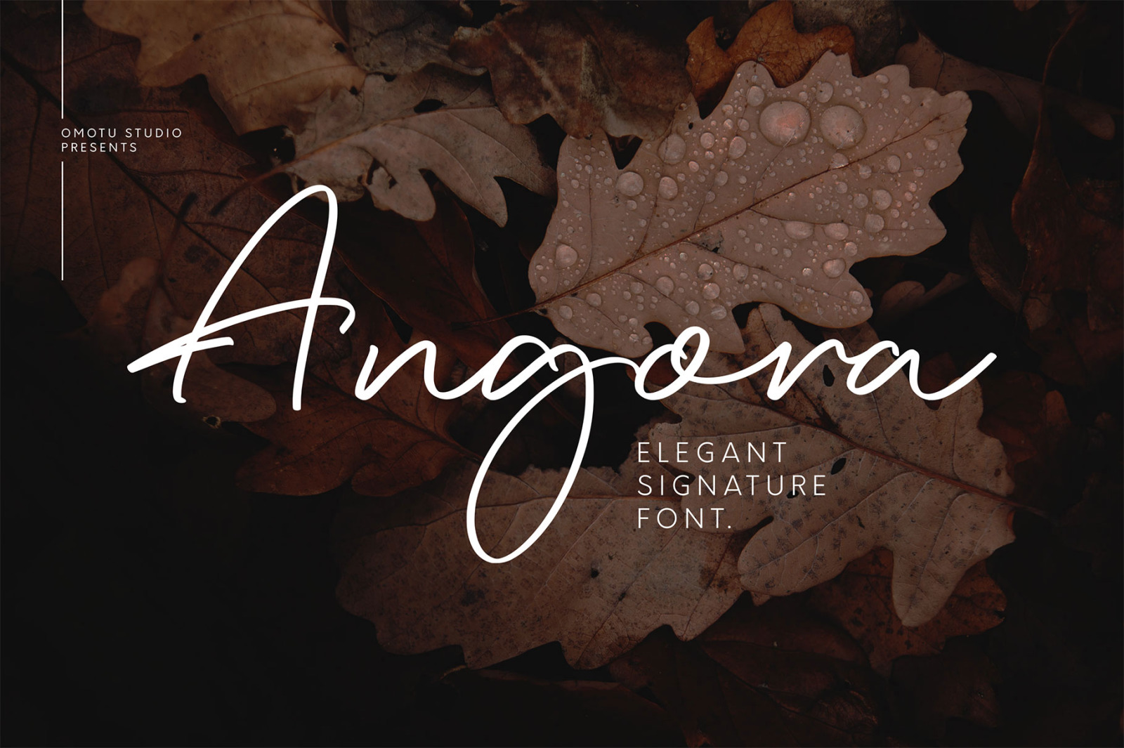 Angora Angora