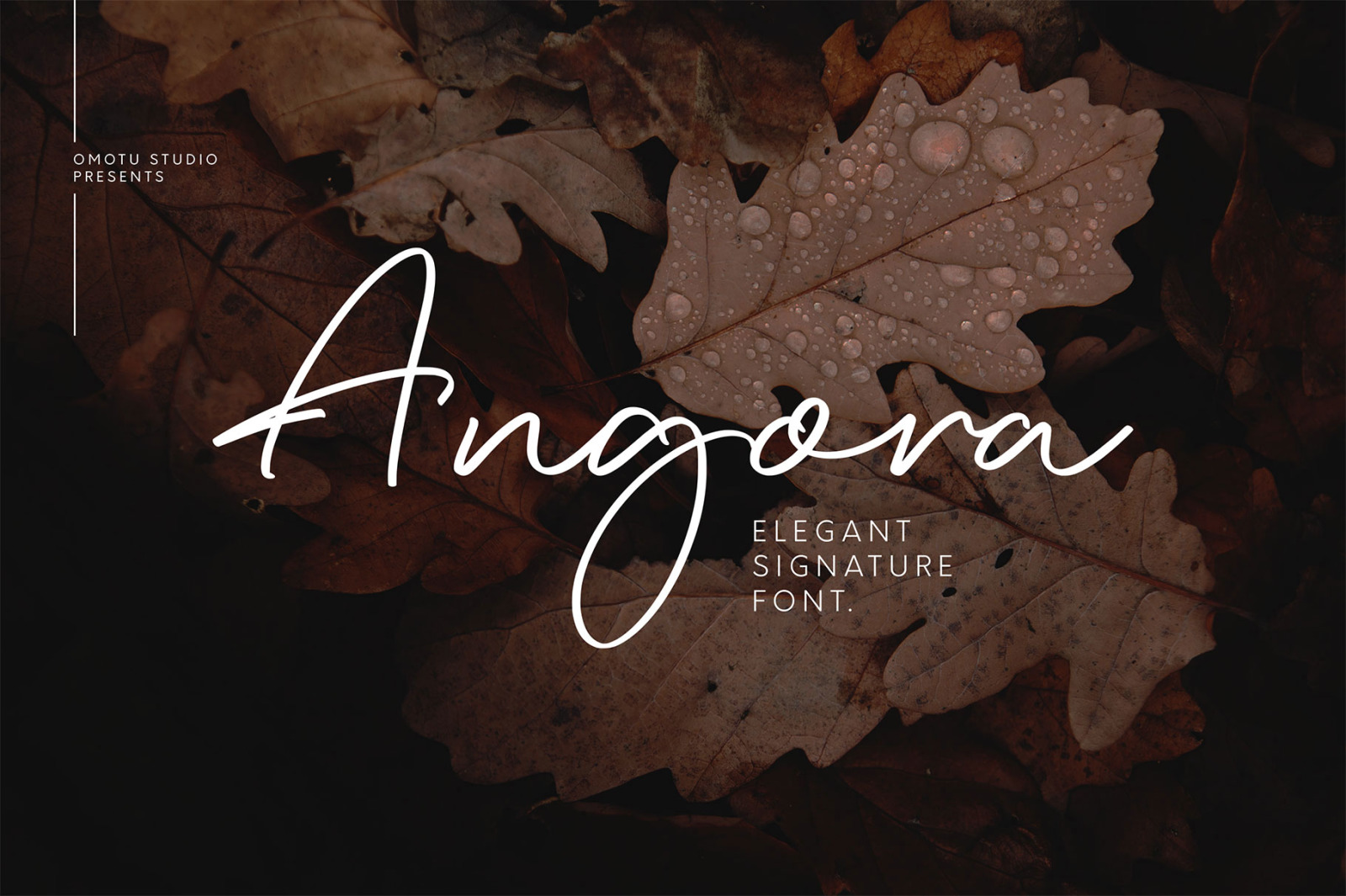 Angora Angora