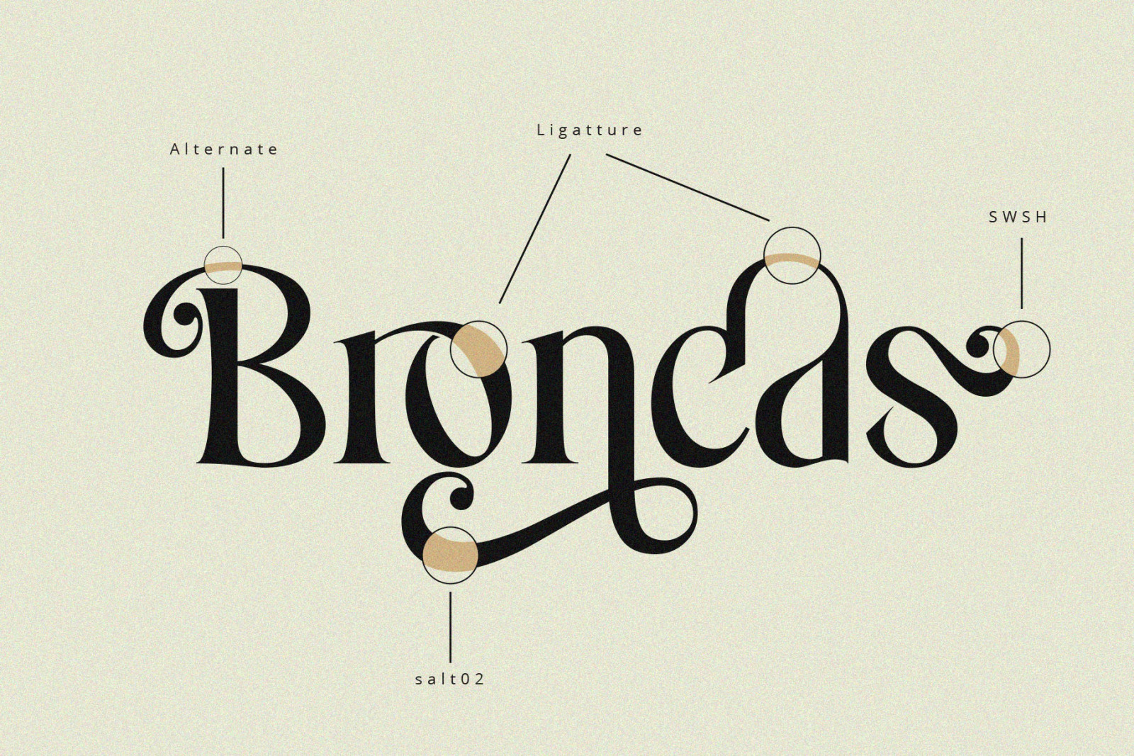 Costa Nova || display Ligature serif Costa Nova || display Ligature serif