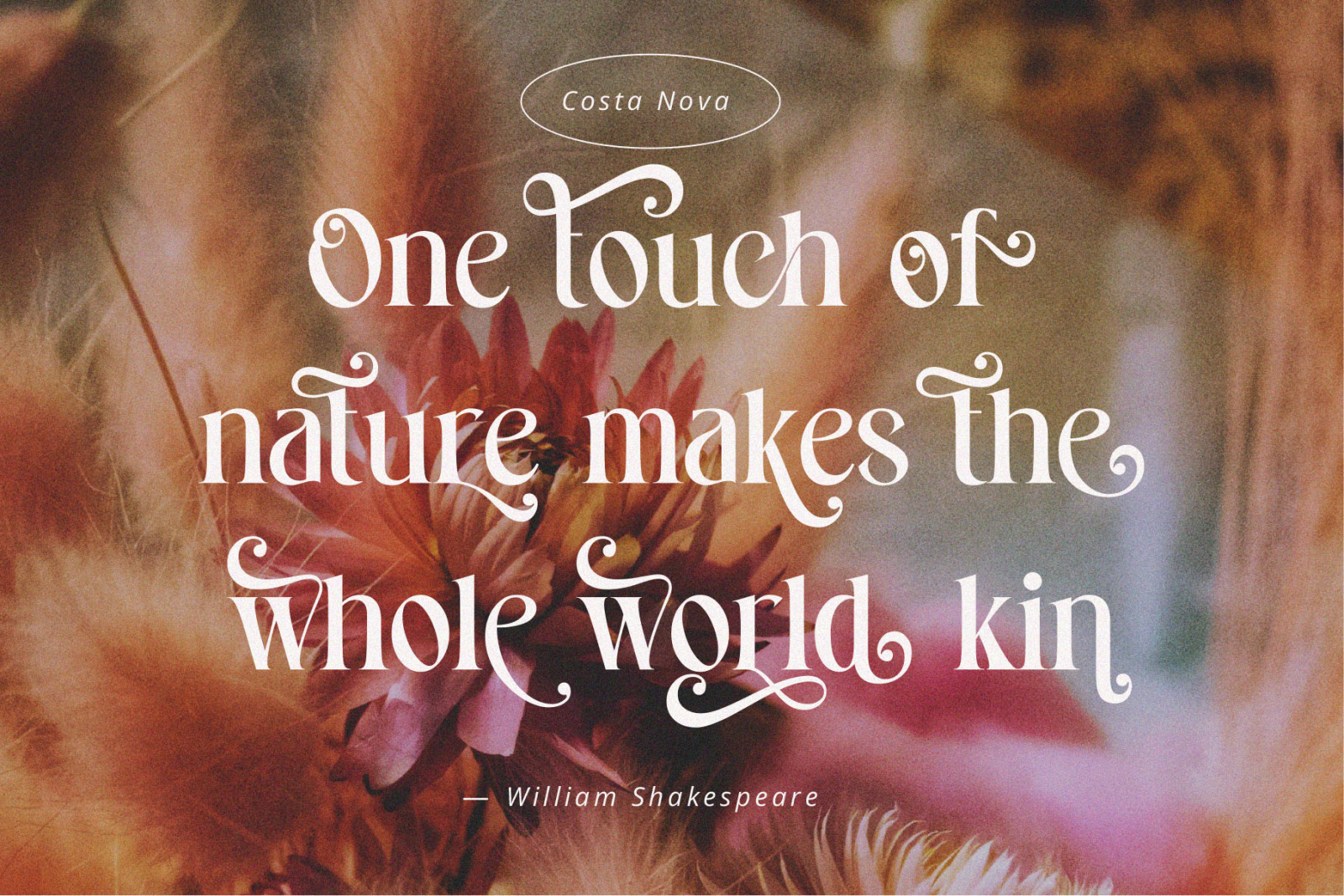 Costa Nova || display Ligature serif Costa Nova || display Ligature serif