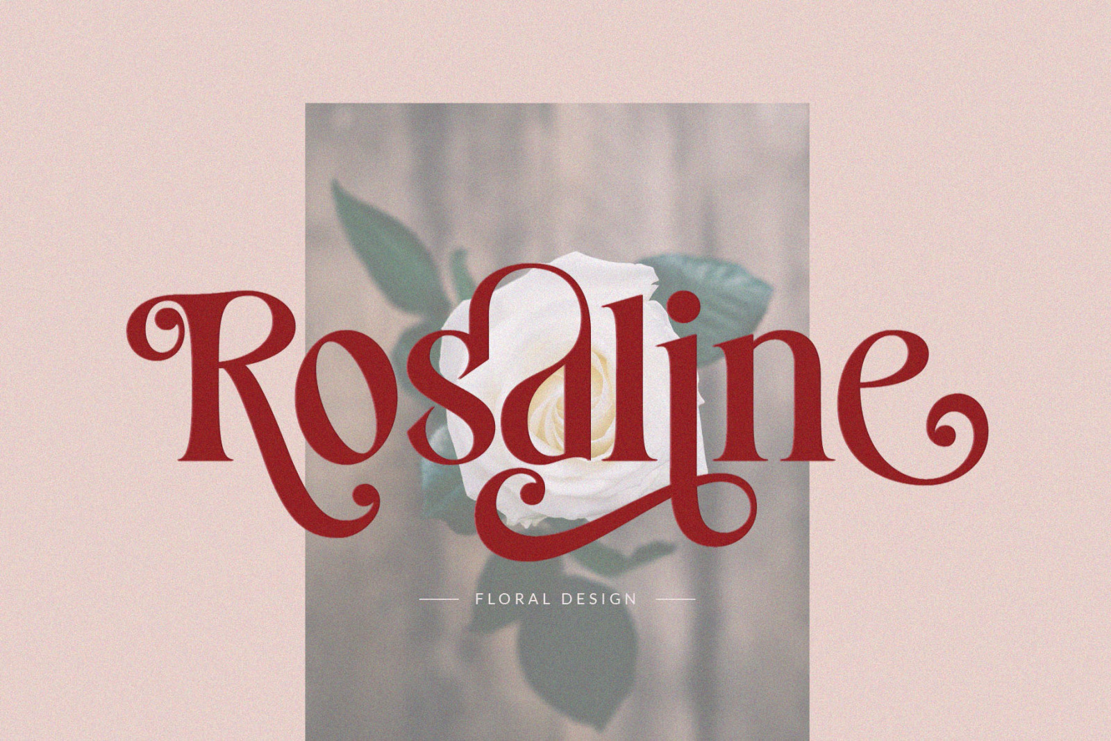 Costa Nova || display Ligature serif Costa Nova || display Ligature serif