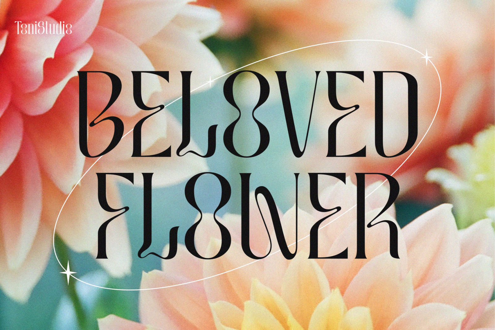 MOLIKA | Display Serif Typeface MOLIKA | Display Serif Typeface