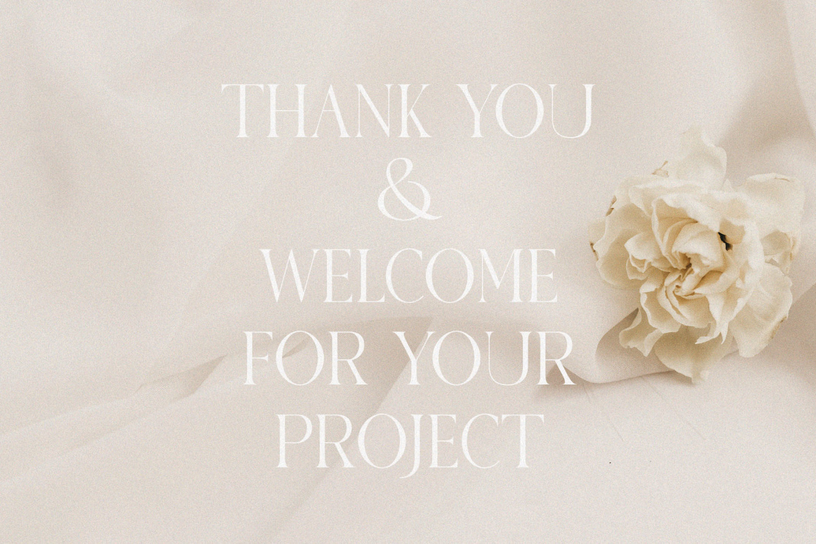 COLLENIS-Display serif COLLENIS-Display serif