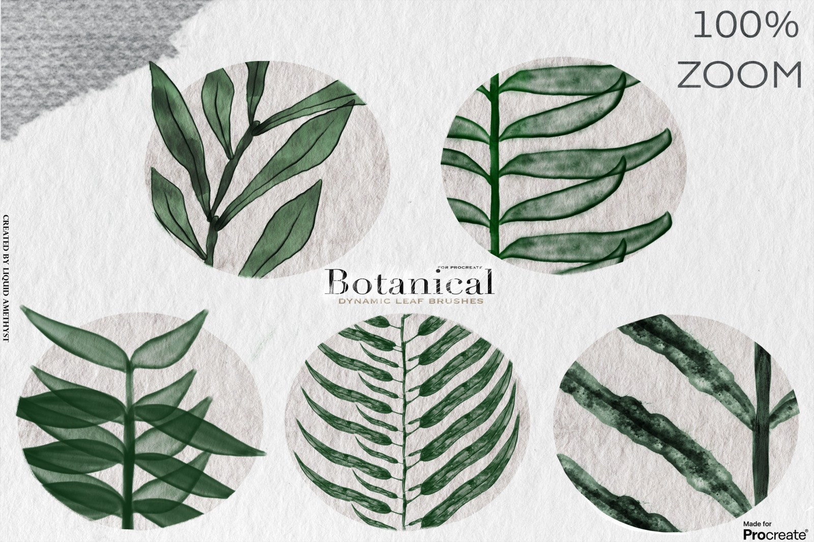 Botanical Greenery Box for Procreate